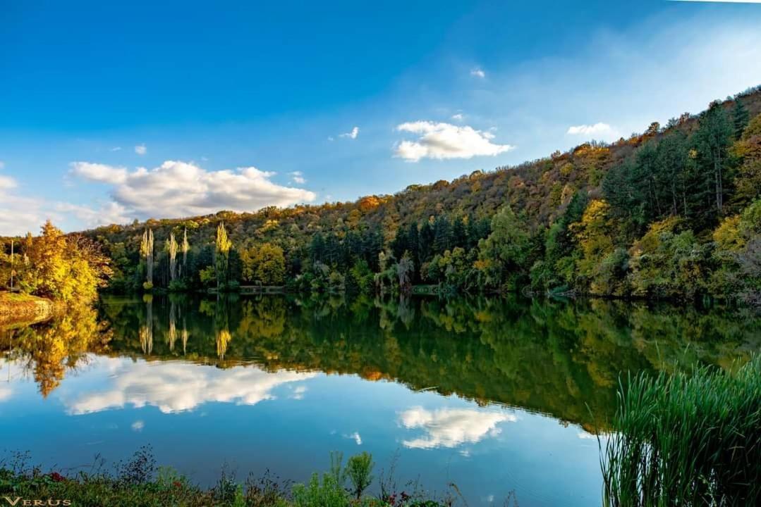Hotel Villa Kaylaka Pleven Bagian luar foto